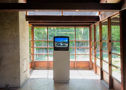 Out Spoken, Installation View
