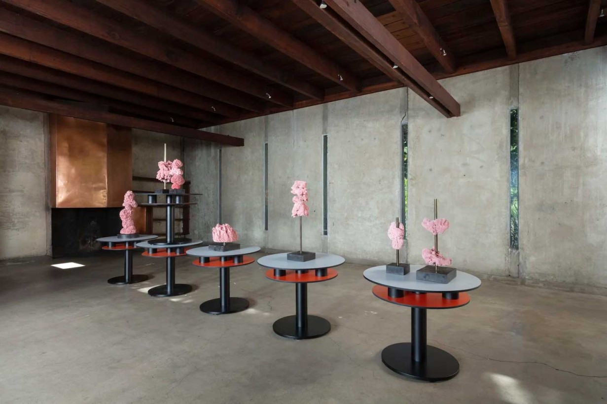 Ausstellungsansicht SUPERFLEX: Rainbows, Sponges, Flies, and Spoons