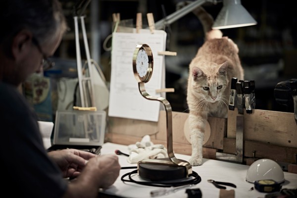 Cat in the J. & L. Lobmeyr Workshop
