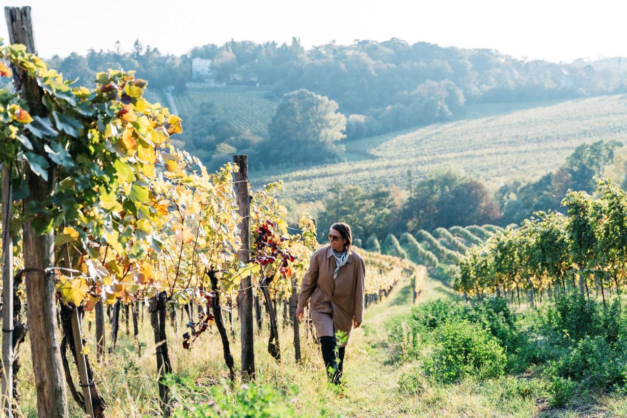 Eine Frau geht durch Weinberge