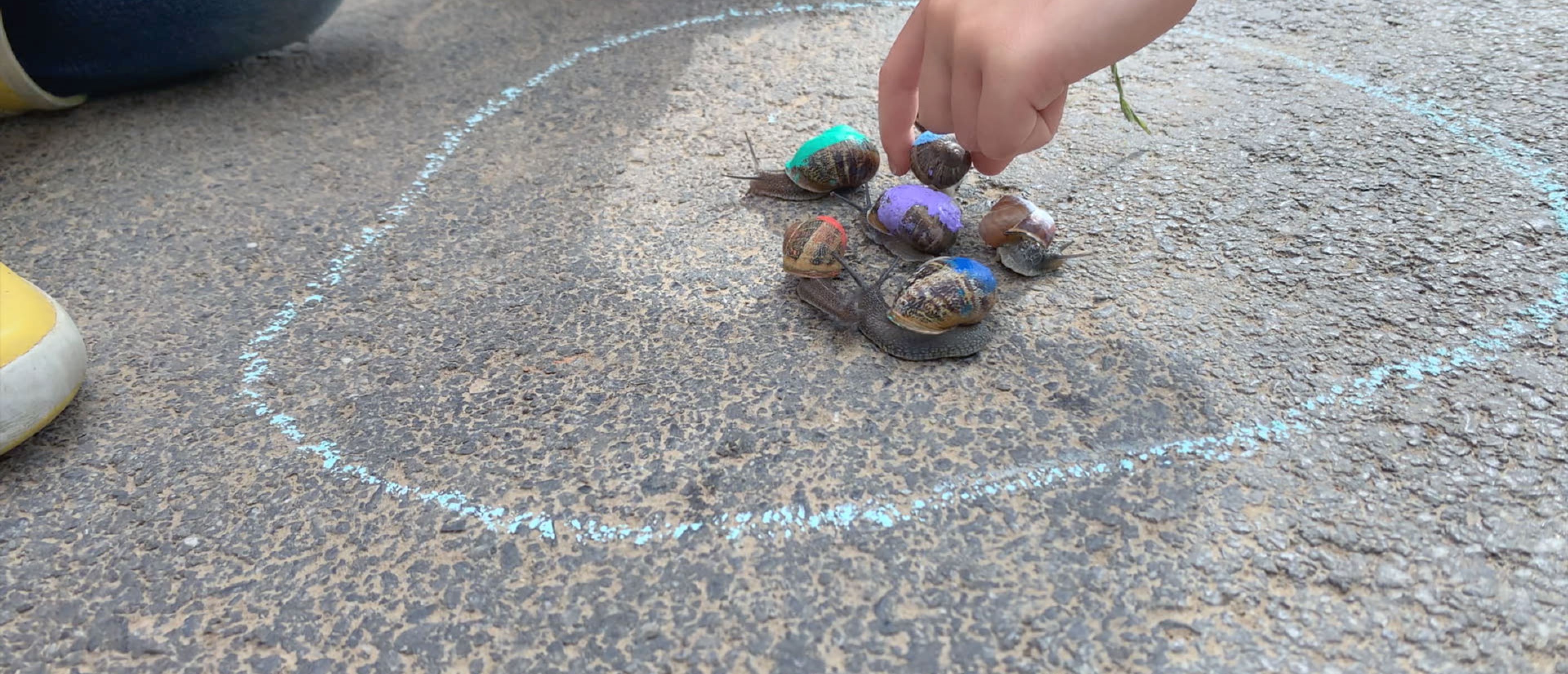 Kinderhand spielt mit Schnecken