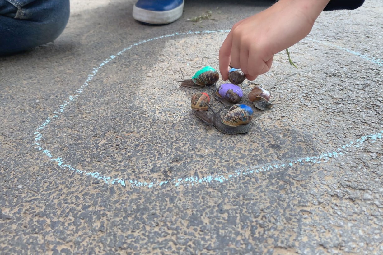 Kinderhand spielt mit Schnecken