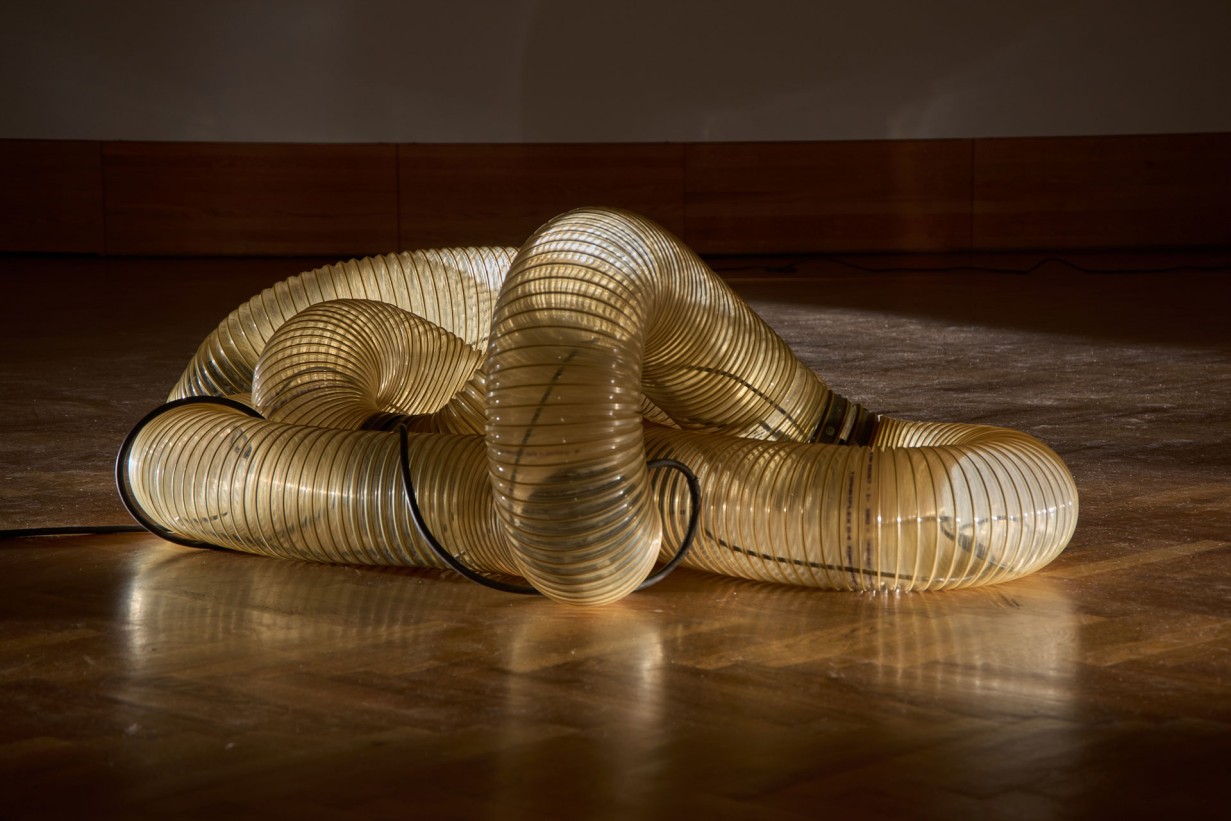 Installation: ein beleuchteter Schlauch/Rohr liegt am Boden