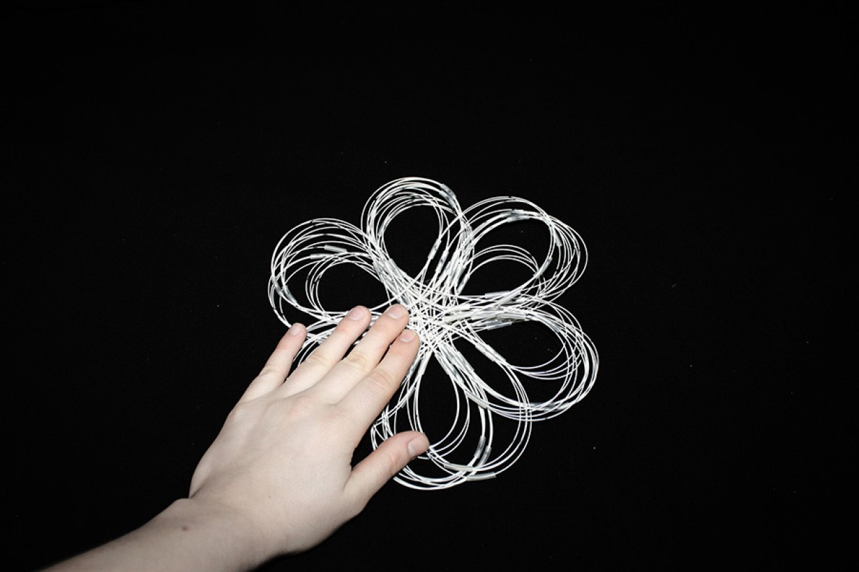 (Detail, Stefan/Witzmann), 2014