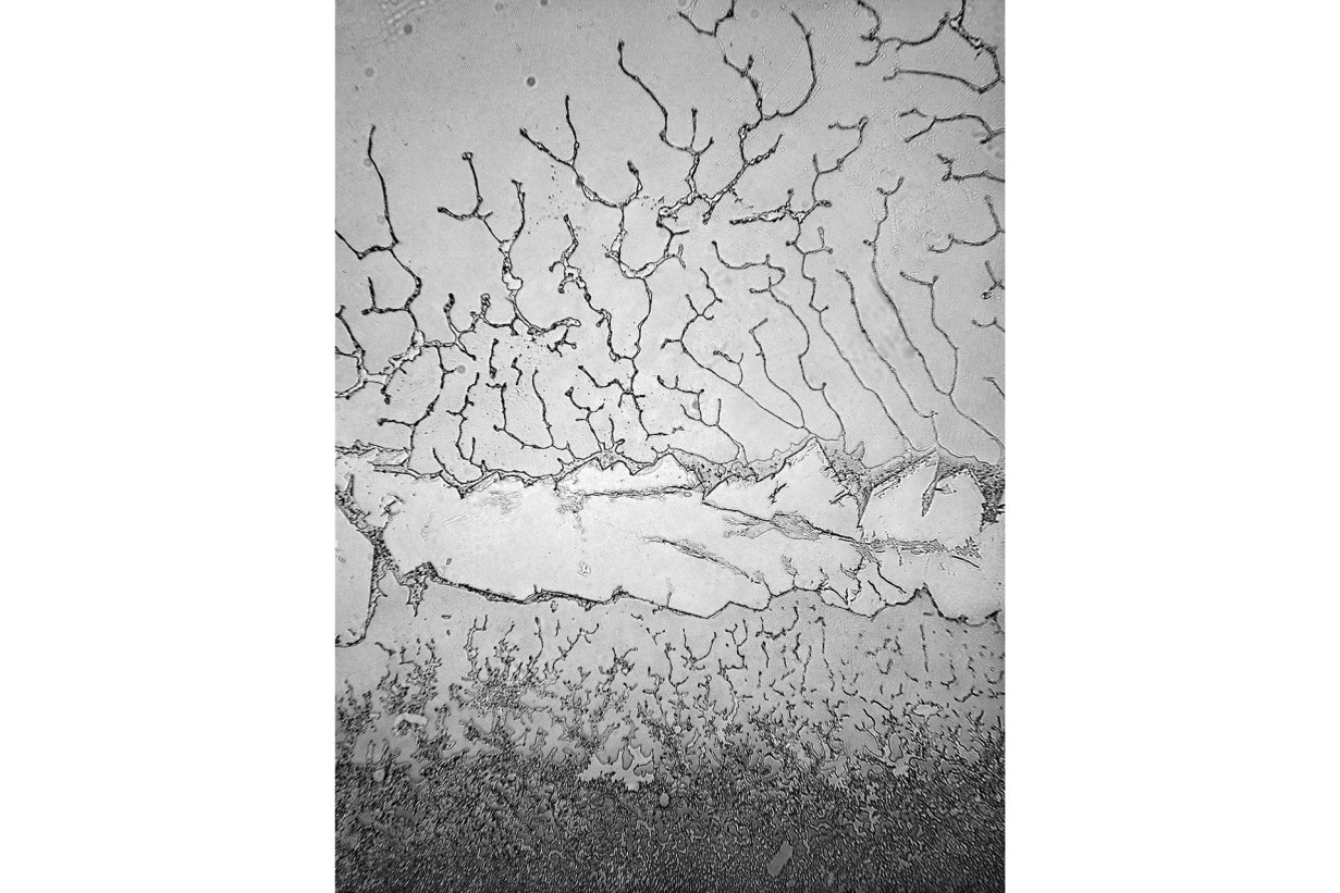 Eine ausgetrocknete Flusslandschaft aus der Vogelperspektive