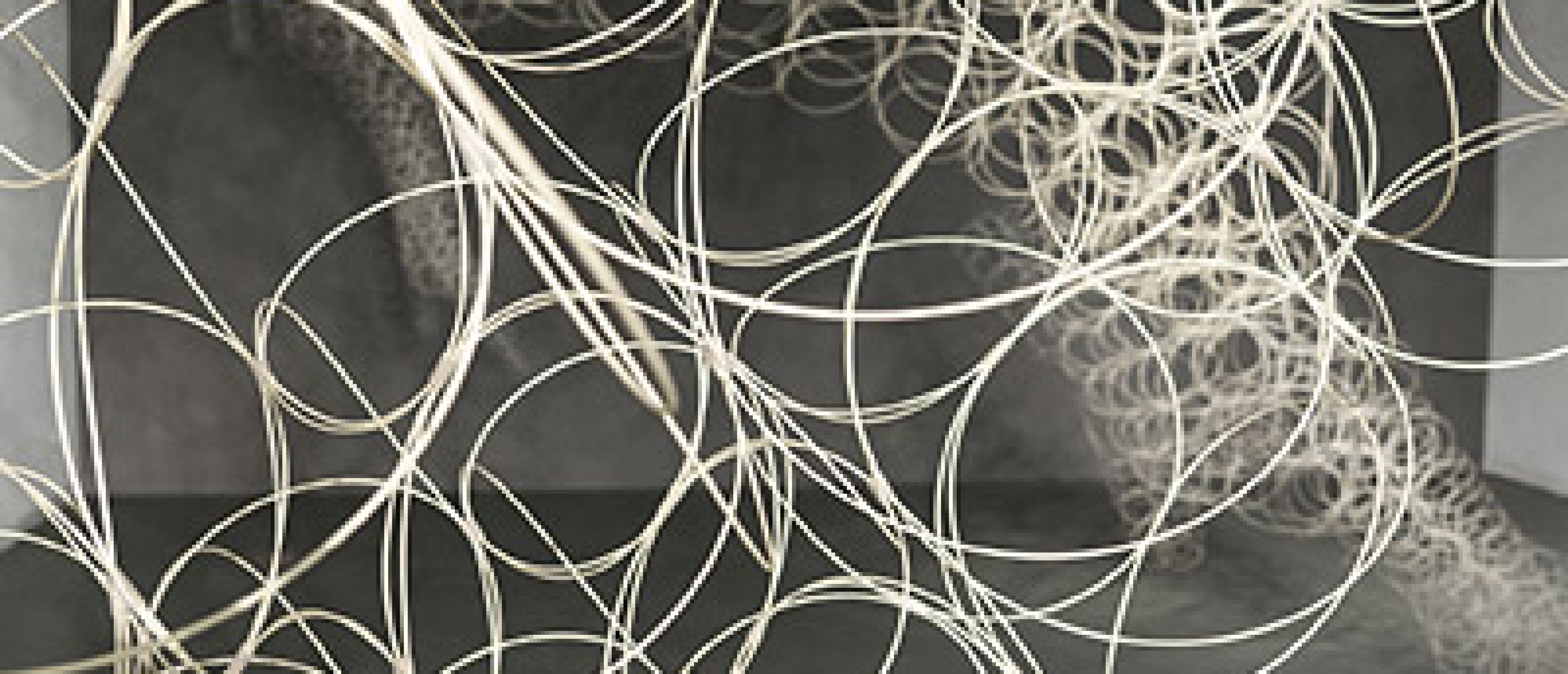 APPLIED ARTS. NOW
soma architecture. Immanent Elasticity
Installation
MAK Gallery