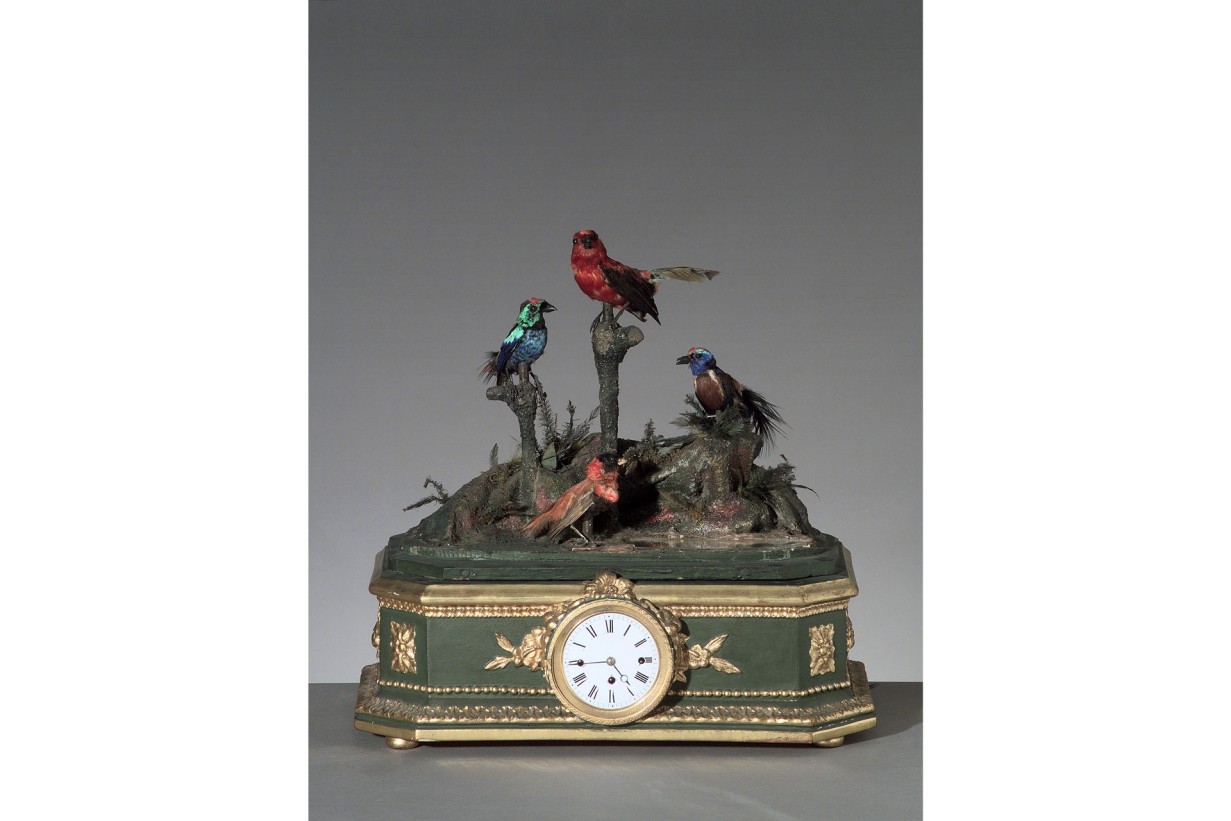 Stutzuhr mit zwitschernden und Flügel schlagenden Vögeln