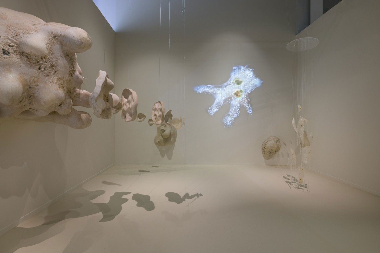 Exhibition space with installation: 40,000-fold magnification of an amoeba