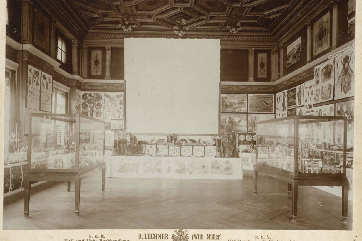 Der Erste Kunstwissenschaftliche Congress – ein Vorreiter für Fragen der Konservierung und Restaurierung