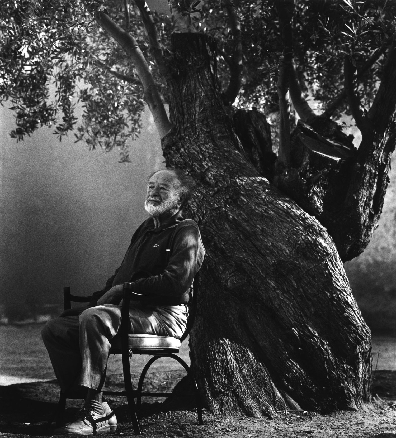 Konrad Rufus Müller: Bruno Kreisky Under an Old Olive Tree