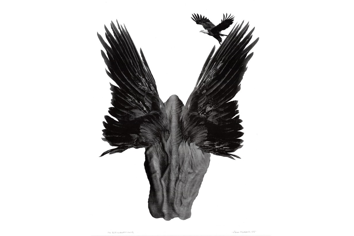 Timo Huber, In Erwartung