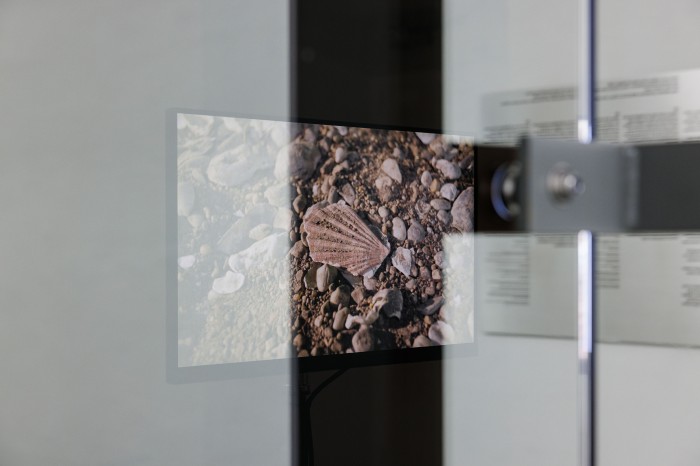 Detailansicht Screen auf dem Valley of the Heart’s Delight gezeigt wird