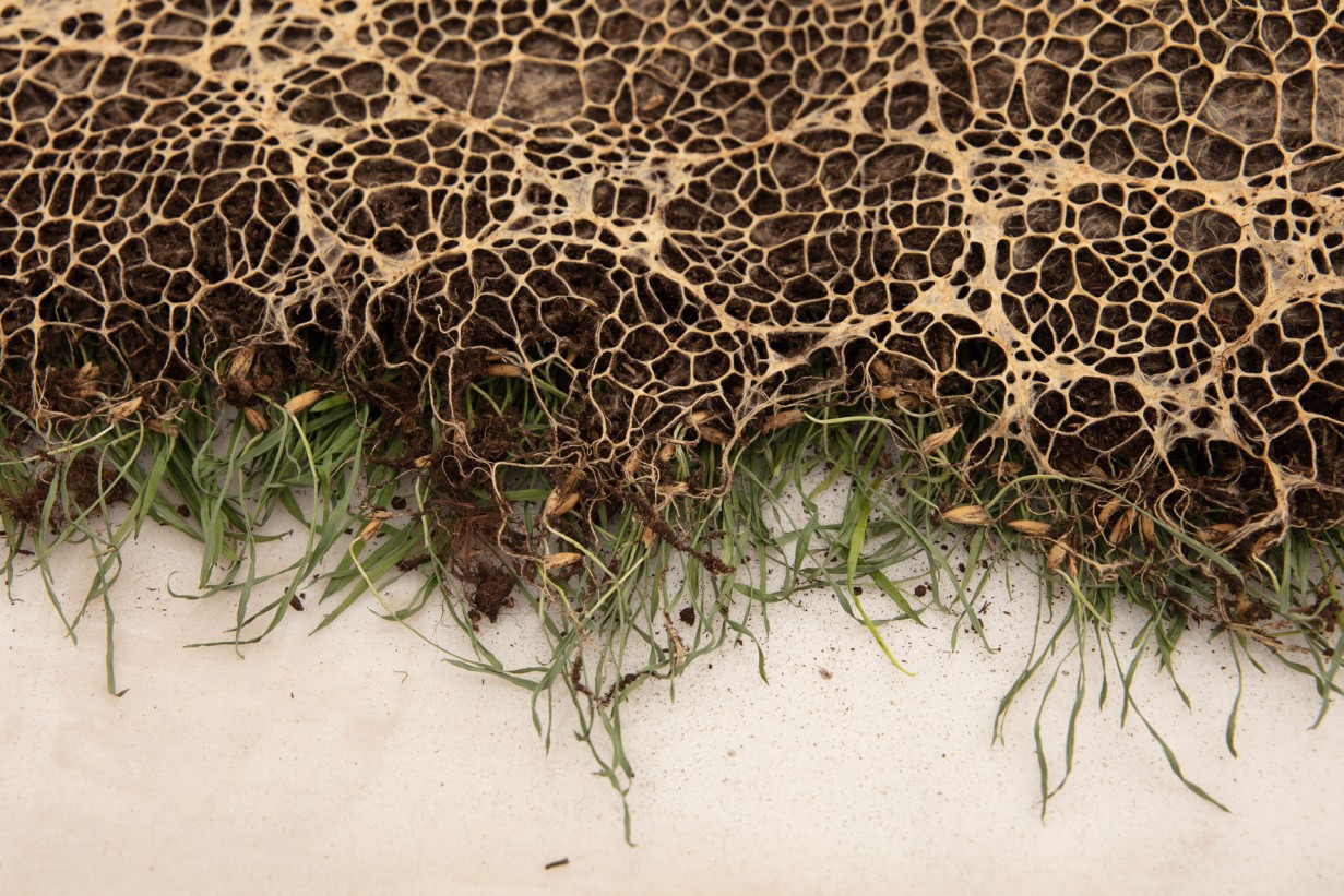 Ein ausgetrocknetes Flussbett aus der Vogelperspektive