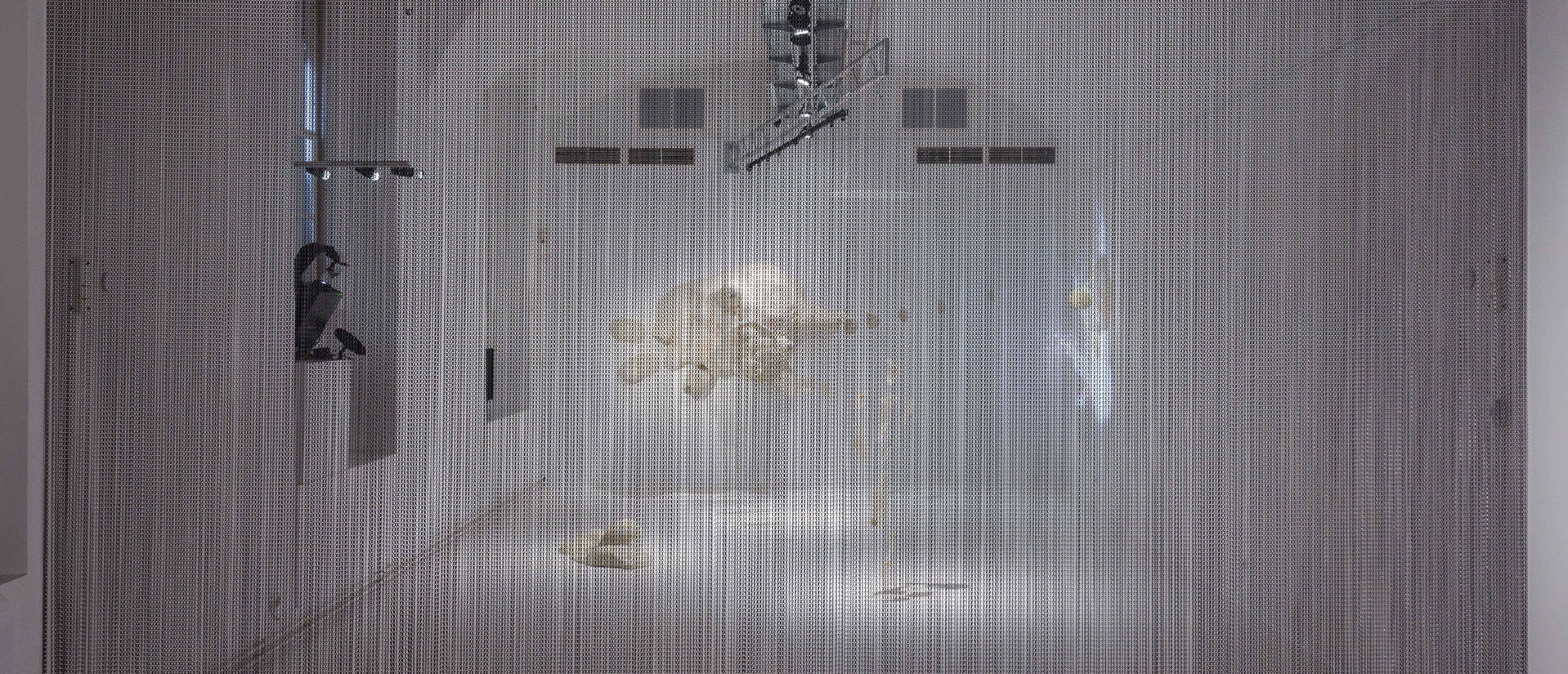 Ausstellungsraum frontal fotografiert, abgetrennt durch einen grauen Vorhang. Dahinter aufgestellt, hängend und an der Wand: 40.000-fachen Vergrößerung einer Amöbe