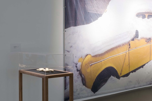 VIENNA BIENNALE 2017 <br>ich weiß nicht 