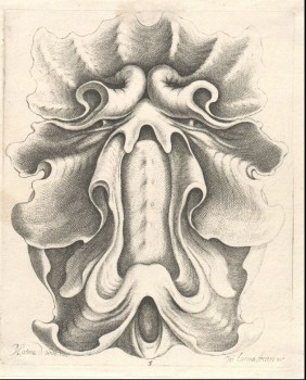Cartouche of cartilage, sheet 5 from the series "Veelderhande Nieuwe Compartemente", engraved and published by Jacob LutmaVeelderhande Nieuwe CompartementeJanus (the Younger) Lutma, Amsterdam, 1653EtchingHeight: 28.7 cm, width: 19.8 cmKI 1-980-7
