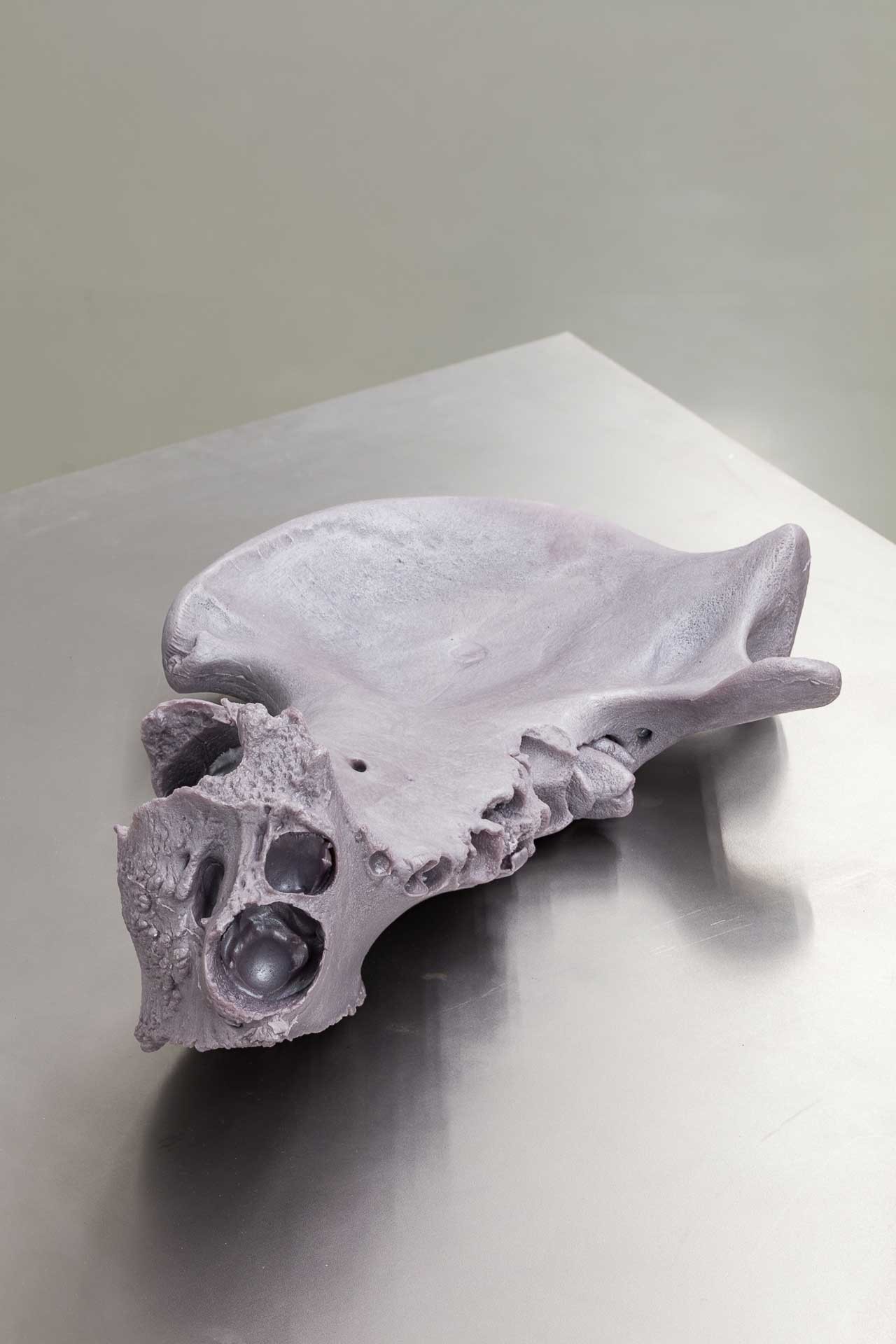 <BODY>Exhibition ViewCLIMATE PANDEMICS. Dark Euphoria Kerstin von Gabain, Jaw bone (hippo) #1, 2021© kunst-dokumentation.com/MAK</BODY>