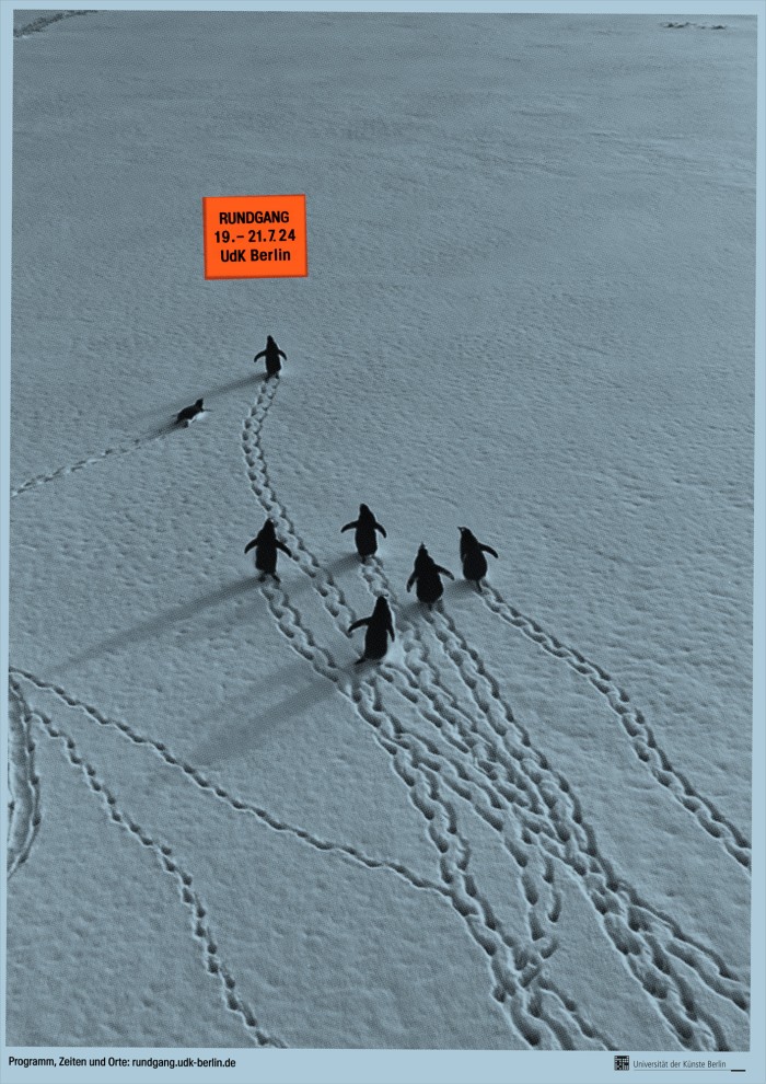 Poster mit Drohnenaufnahme von Pinguinen, die Spuren im Schnee ziehen